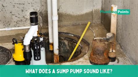 test sealed sump pump|who checks sump pumps.